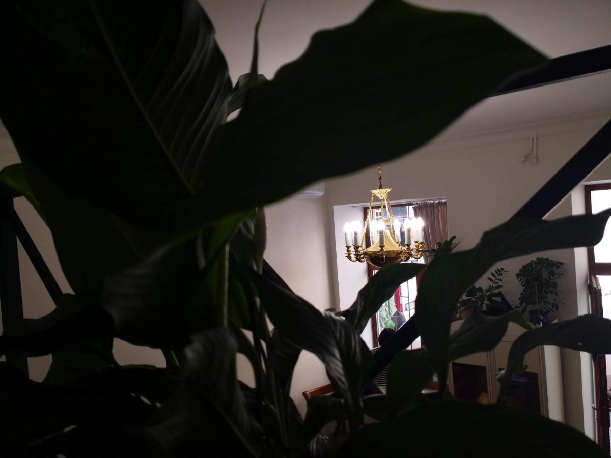 Затишні Апартаменти, Вулиця Дерибасівська, 13 Одеса Екстериор снимка